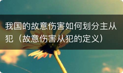 我国的故意伤害如何划分主从犯（故意伤害从犯的定义）