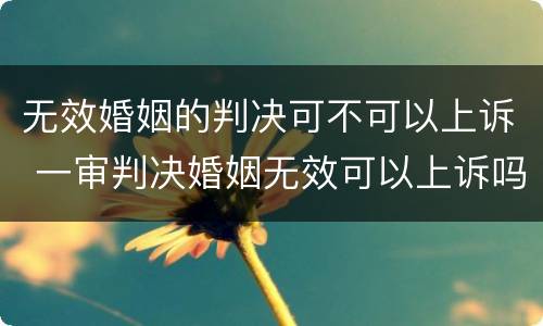 无效婚姻的判决可不可以上诉 一审判决婚姻无效可以上诉吗