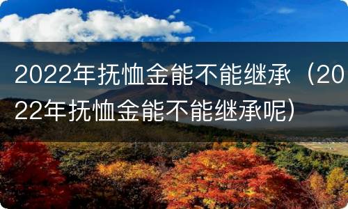 2022年抚恤金能不能继承（2022年抚恤金能不能继承呢）
