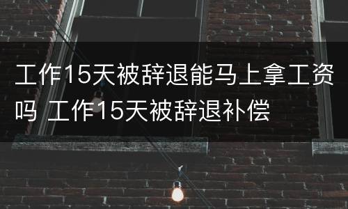 工作15天被辞退能马上拿工资吗 工作15天被辞退补偿