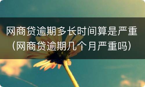网商贷逾期多长时间算是严重（网商贷逾期几个月严重吗）