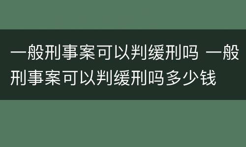 一般刑事案可以判缓刑吗 一般刑事案可以判缓刑吗多少钱