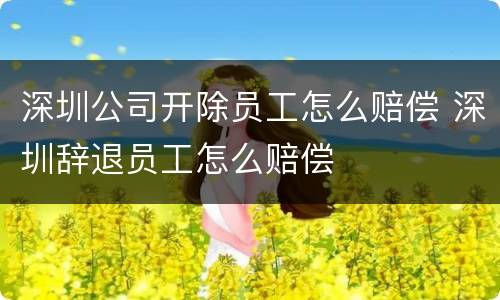 深圳公司开除员工怎么赔偿 深圳辞退员工怎么赔偿