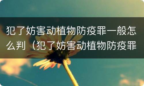 犯了妨害动植物防疫罪一般怎么判（犯了妨害动植物防疫罪一般怎么判刑）