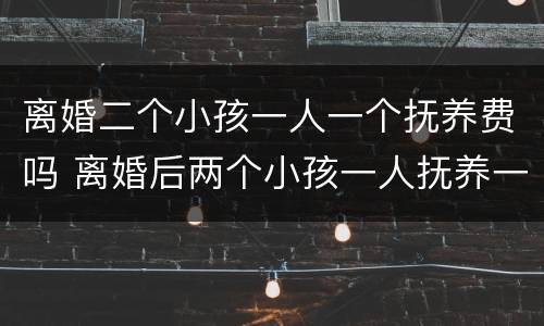 离婚二个小孩一人一个抚养费吗 离婚后两个小孩一人抚养一个费用如何承担