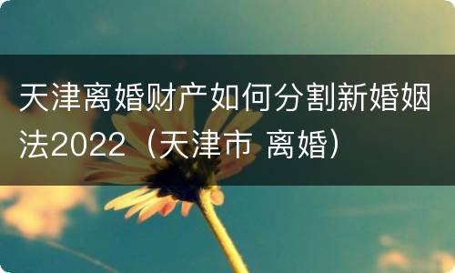 天津离婚财产如何分割新婚姻法2022（天津市 离婚）