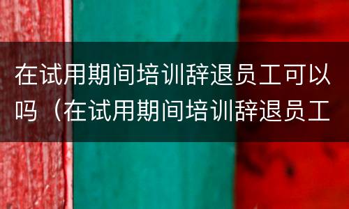在试用期间培训辞退员工可以吗（在试用期间培训辞退员工可以吗怎么赔偿）