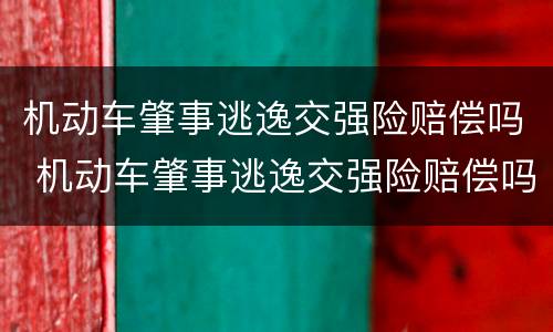 机动车肇事逃逸交强险赔偿吗 机动车肇事逃逸交强险赔偿吗要多少钱