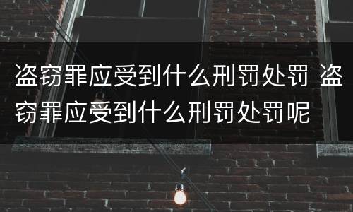 盗窃罪应受到什么刑罚处罚 盗窃罪应受到什么刑罚处罚呢