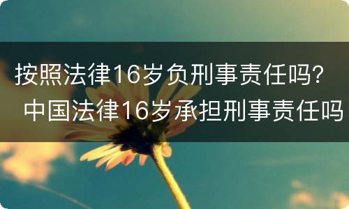 按照法律16岁负刑事责任吗？ 中国法律16岁承担刑事责任吗