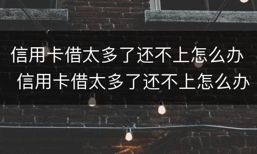 信用卡借太多了还不上怎么办 信用卡借太多了还不上怎么办呢