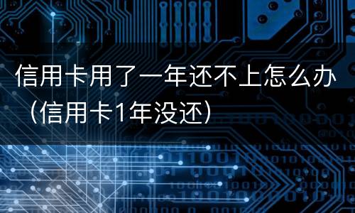 信用卡用了一年还不上怎么办（信用卡1年没还）