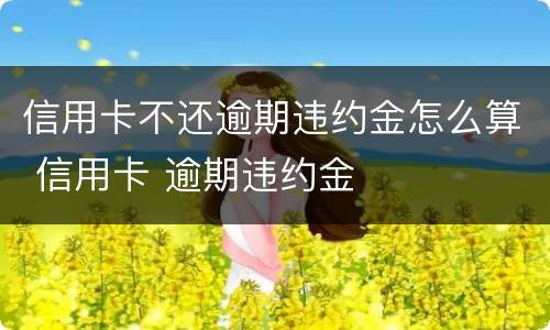 信用卡不还逾期违约金怎么算 信用卡 逾期违约金