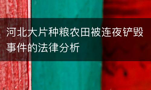 河北大片种粮农田被连夜铲毁事件的法律分析