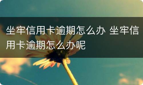 坐牢信用卡逾期怎么办 坐牢信用卡逾期怎么办呢