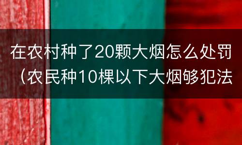 在农村种了20颗大烟怎么处罚（农民种10棵以下大烟够犯法吗）