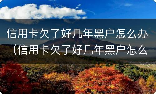 信用卡欠了好几年黑户怎么办（信用卡欠了好几年黑户怎么办呢）
