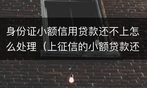 身份证小额信用贷款还不上怎么处理（上征信的小额贷款还不上怎么办）