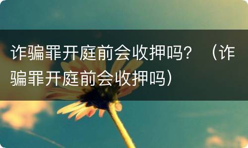 诈骗罪开庭前会收押吗？（诈骗罪开庭前会收押吗）