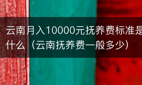 云南月入10000元抚养费标准是什么（云南抚养费一般多少）