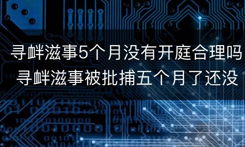 寻衅滋事5个月没有开庭合理吗 寻衅滋事被批捕五个月了还没判