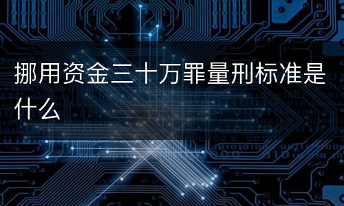 挪用资金三十万罪量刑标准是什么