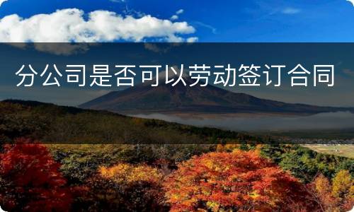 分公司是否可以劳动签订合同