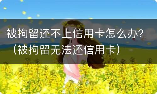 被拘留还不上信用卡怎么办？（被拘留无法还信用卡）