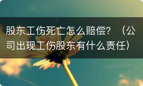 股东工伤死亡怎么赔偿？（公司出现工伤股东有什么责任）