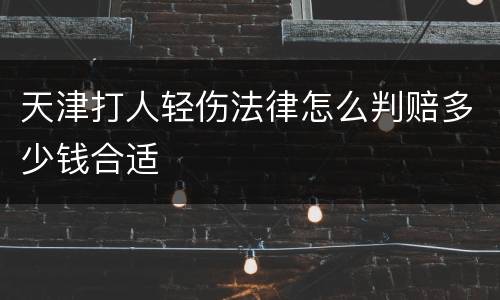 天津打人轻伤法律怎么判赔多少钱合适