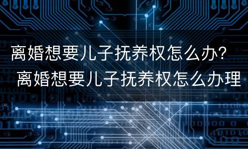 离婚想要儿子抚养权怎么办？ 离婚想要儿子抚养权怎么办理