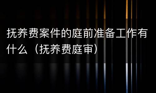 抚养费案件的庭前准备工作有什么（抚养费庭审）