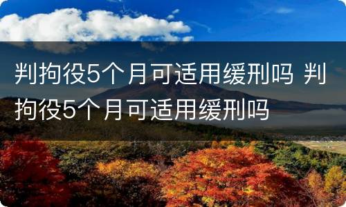 判拘役5个月可适用缓刑吗 判拘役5个月可适用缓刑吗