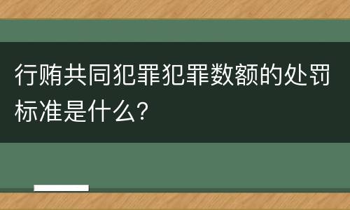 行贿共同犯罪犯罪数额的处罚标准是什么？