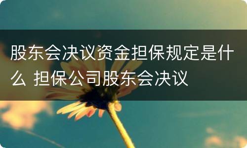 股东会决议资金担保规定是什么 担保公司股东会决议