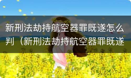 新刑法劫持航空器罪既遂怎么判（新刑法劫持航空器罪既遂怎么判）