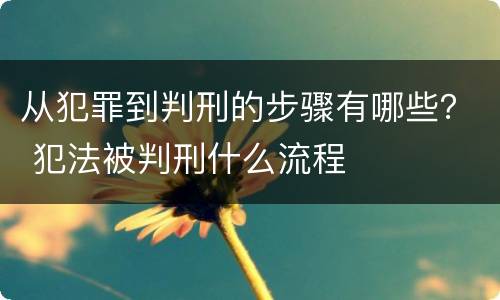 从犯罪到判刑的步骤有哪些？ 犯法被判刑什么流程