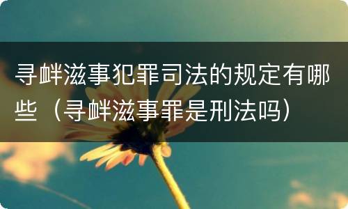 寻衅滋事犯罪司法的规定有哪些（寻衅滋事罪是刑法吗）