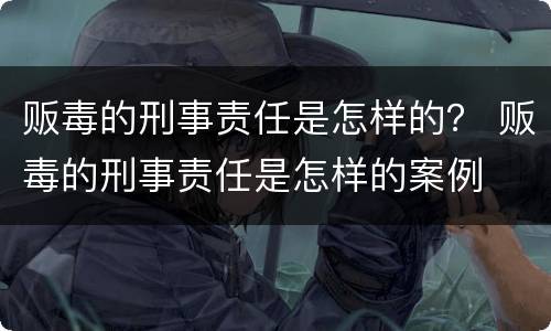 贩毒的刑事责任是怎样的？ 贩毒的刑事责任是怎样的案例