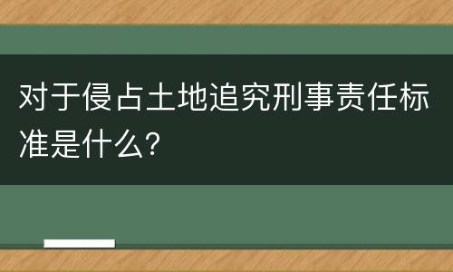 对于侵占土地追究刑事责任标准是什么？