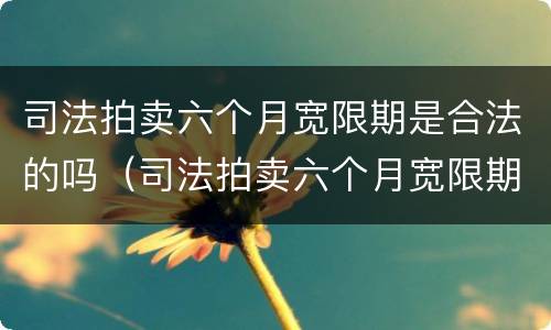 司法拍卖六个月宽限期是合法的吗（司法拍卖六个月宽限期是合法的吗知乎）