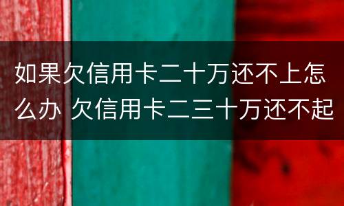 如果欠信用卡二十万还不上怎么办 欠信用卡二三十万还不起怎么办