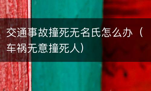 交通事故撞死无名氏怎么办（车祸无意撞死人）