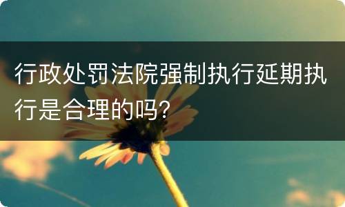 行政处罚法院强制执行延期执行是合理的吗？