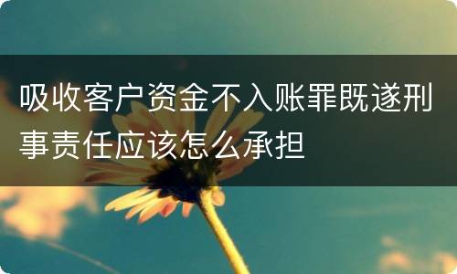 吸收客户资金不入账罪既遂刑事责任应该怎么承担