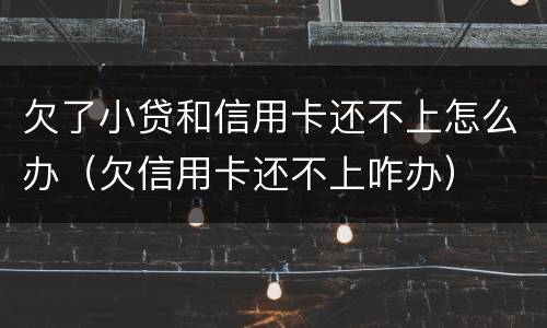 欠了小贷和信用卡还不上怎么办（欠信用卡还不上咋办）