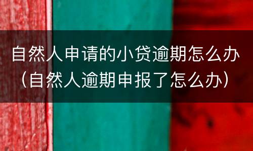 自然人申请的小贷逾期怎么办（自然人逾期申报了怎么办）