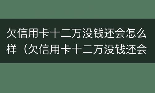 欠信用卡十二万没钱还会怎么样（欠信用卡十二万没钱还会怎么样吗）