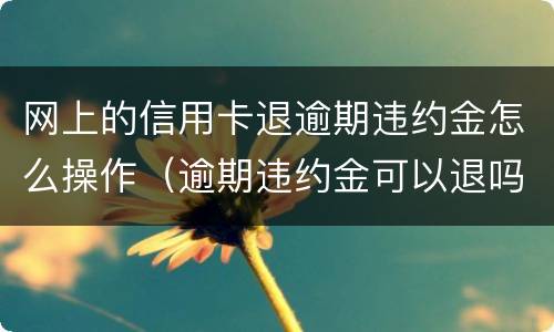 网上的信用卡退逾期违约金怎么操作（逾期违约金可以退吗）