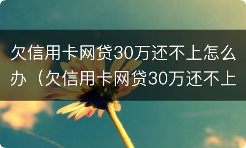 欠信用卡网贷30万还不上怎么办（欠信用卡网贷30万还不上怎么办呢）
